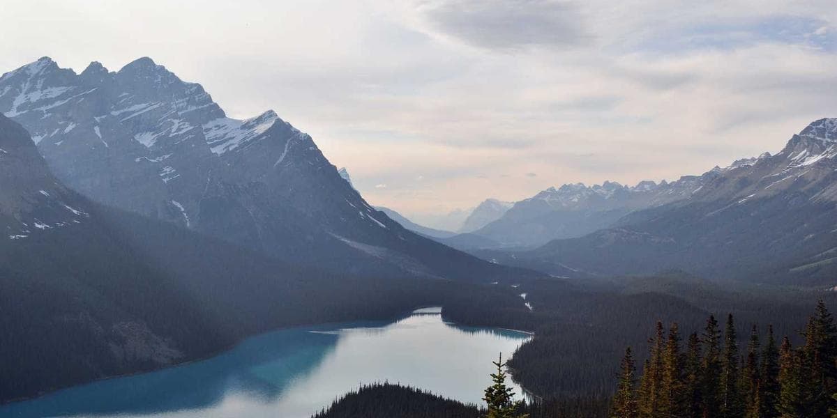 Generative AI in Digital Marketing: 5 Winning Strategies for 2024