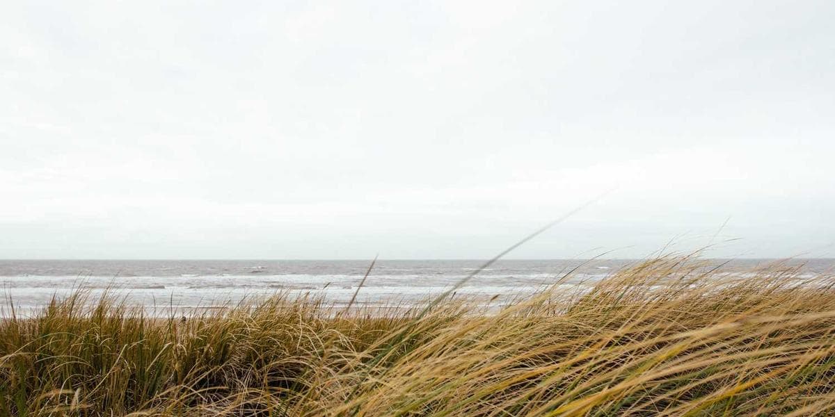 The Ultimate Guide to Facebook's 2025 Ad Policy Updates